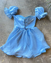 Frozen Gudiya Dress