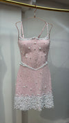 Blush Pearl Embellished Corset Dress